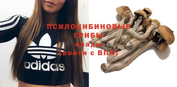 соль курить ск Гусь-Хрустальный